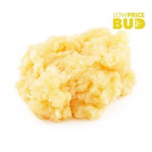 Caviar – Comatose OG Buy Caviar – Comatose OG online Canada