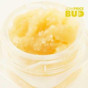 Caviar – Comatose OG Buy Caviar – Comatose OG online Canada