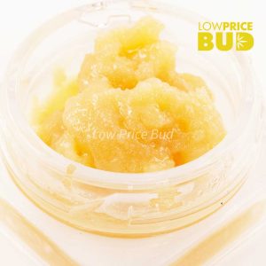 Live Resin – Hawaiian Pink Punch Buy Live Resin – Hawaiian Pink Punch online Canada