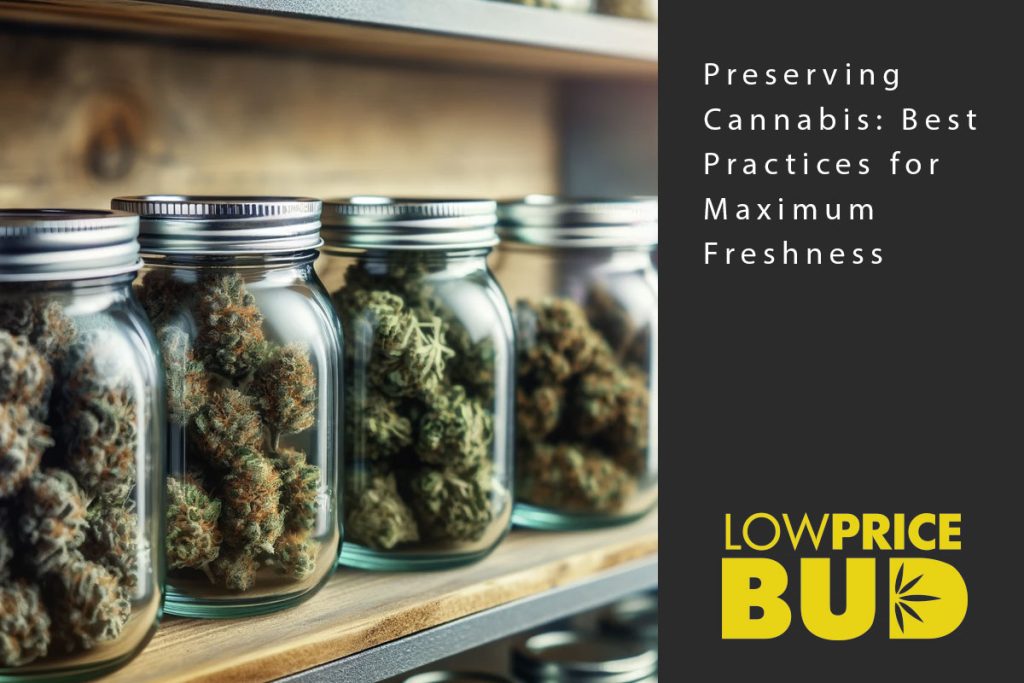 preserving cannabis