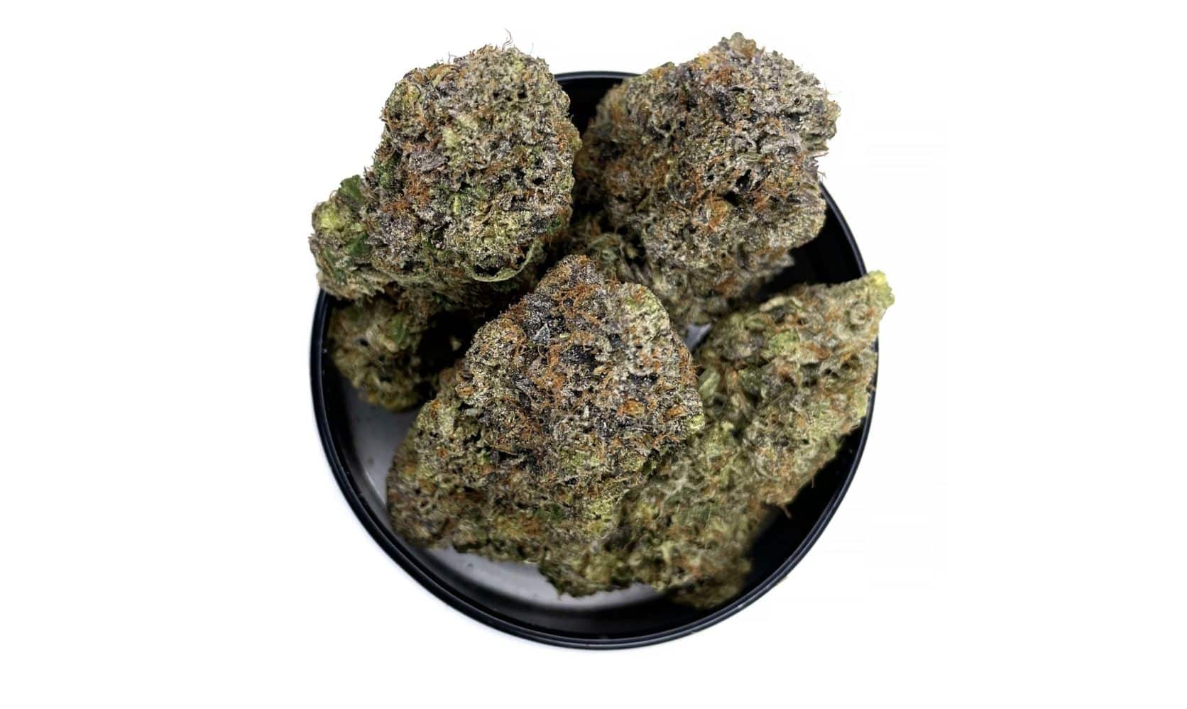 Experience the iconic Pink Kush strain! Buy Pink Kush online from LPB, top Canadian online dispensary. Discover its origins, effects & benefits.