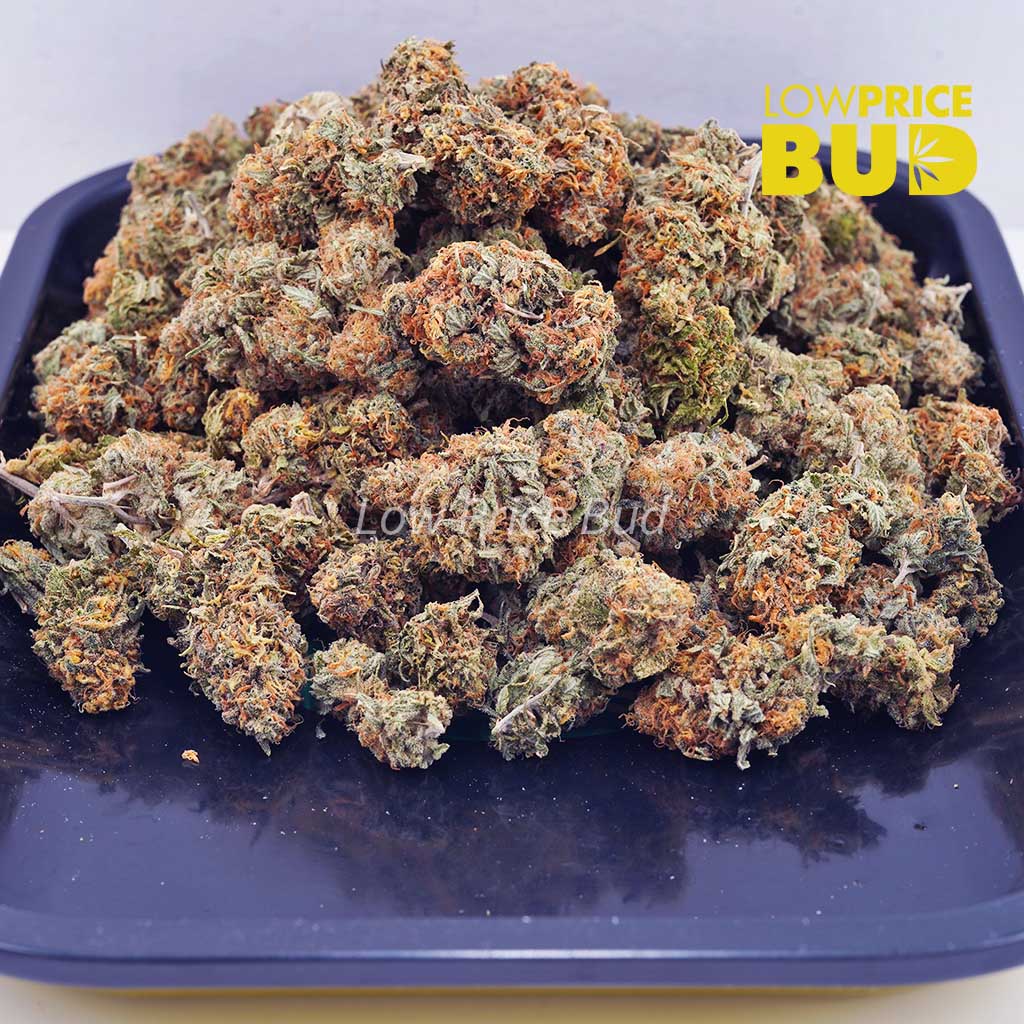 Apes In Space (AA) Buy Apes In Space (AA) online Canada