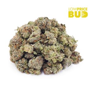 Birthday Cake Kush (AAAA) – Popcorn Nugs Buy Birthday Cake Kush (AAAA) – Popcorn Nugs online Canada