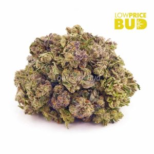 Buy Purple Kush (AAAA) – Popcorn Nugs online Canada