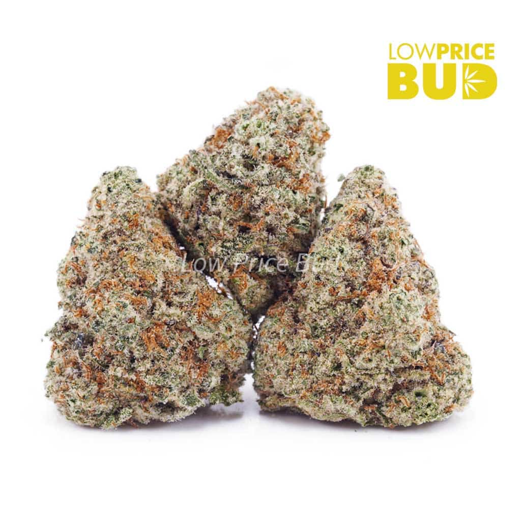 Strawberry Punch (AAAA) Buy Strawberry Punch (AAAA) online Canada