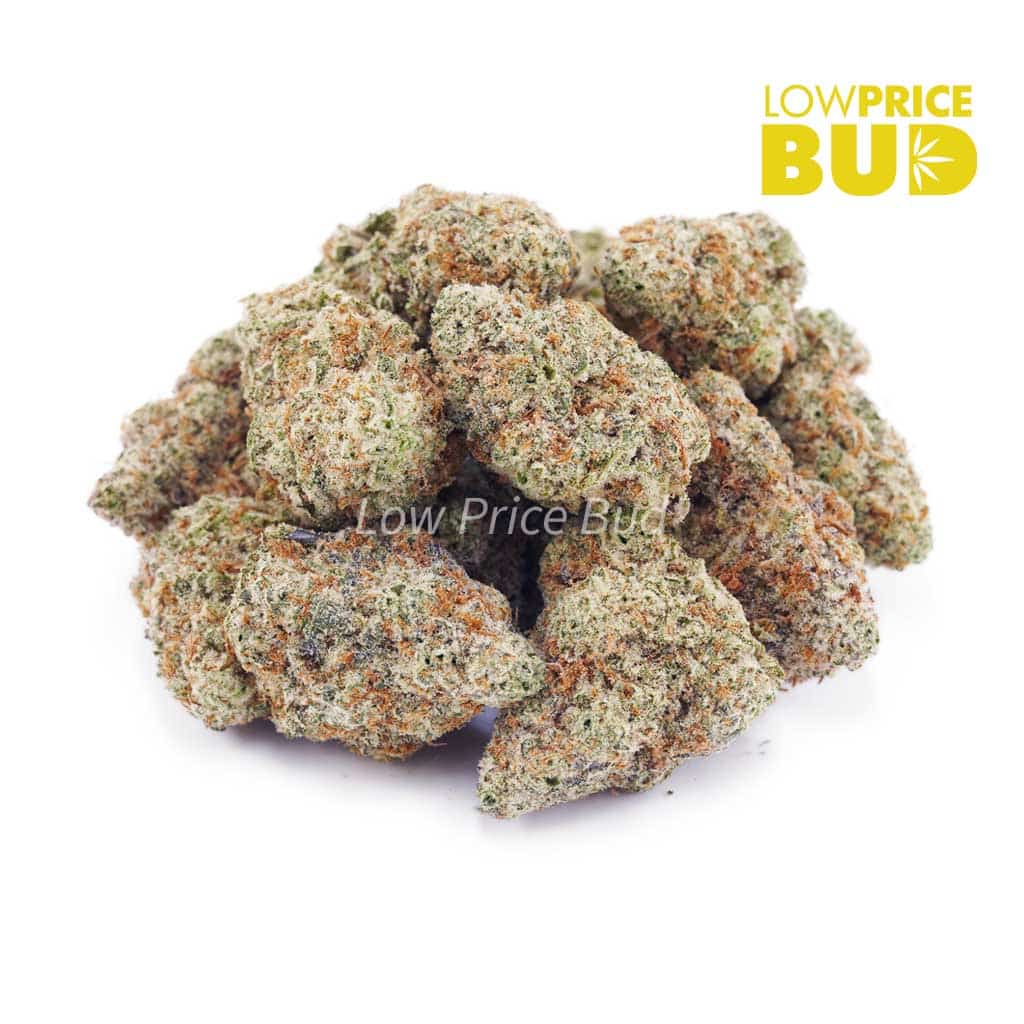 Strawberry Punch (AAAA) Buy Strawberry Punch (AAAA) online Canada