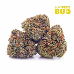 Buy Runtz (AAAA) online Canada