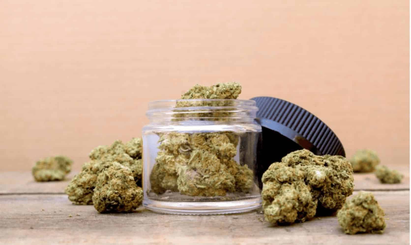 Ever wondered why BC online pot is trending? Learn more about this high-quality weed in this blog & join the trend by placing an order at LPB.