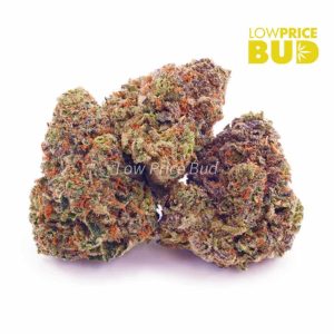 Buy Hawaiian Punch (AAAA) online Canada