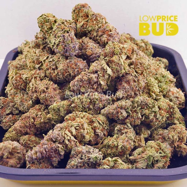 Cake Crasher (AAAA) Low Price Bud