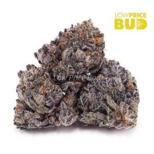 Buy Grape Cream Cake (AAAA) online Canada