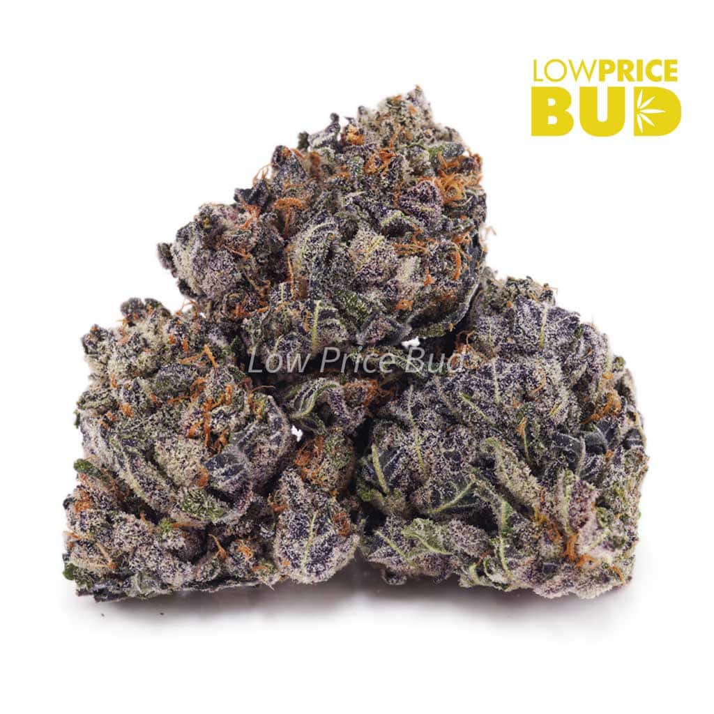 Grape Cream Cake (AAAA) Buy Grape Cream Cake (AAAA) online Canada
