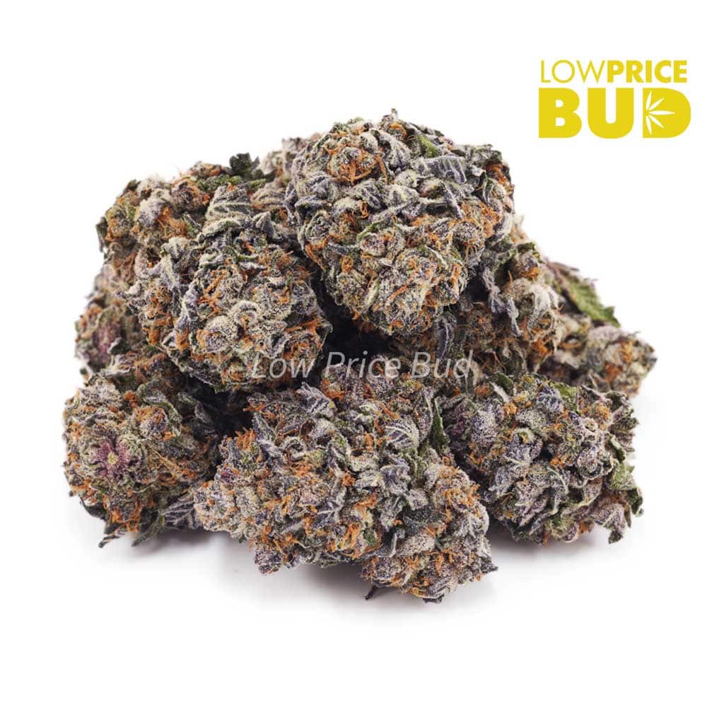 Grape Cream Cake (AAAA) Buy Grape Cream Cake (AAAA) online Canada
