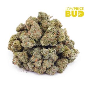 Buy Passionfruit Kush (AAAA) – Popcorn Nugs online Canada