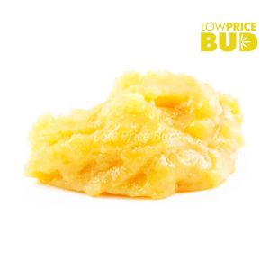 Buy Caviar – Purple Kush online Canada