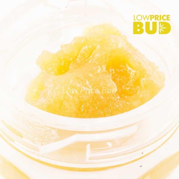 Buy Caviar – Ghost OG online Canada