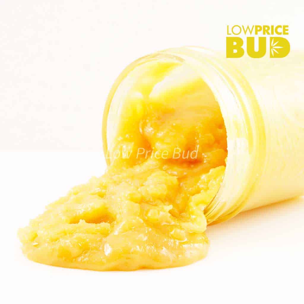 Caviar – Purple Kush Buy Caviar – Purple Kush online Canada