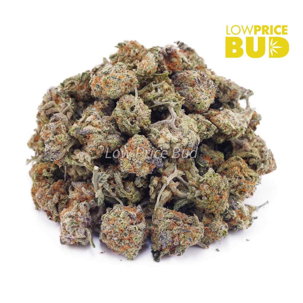 NYC Diesel (AAAA) – Popcorn Nugs Buy NYC Diesel (AAAA) – Popcorn Nugs online Canada