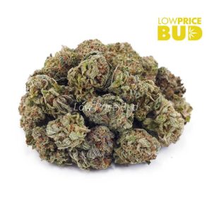 Buy Tangerine Haze (AAAA) – Popcorn Nugs online Canada