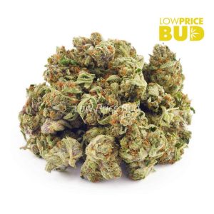 Buy Guava Cookies (AAAA) – Popcorn Nugs online Canada