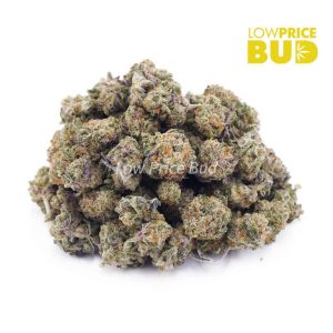 Oreoz (AAAA) – Popcorn Nugs Buy Oreoz (AAAA) – Popcorn Nugs online Canada