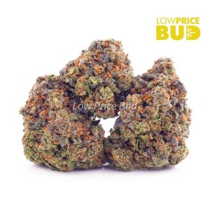 Buy Grape Runtz (AA) online Canada