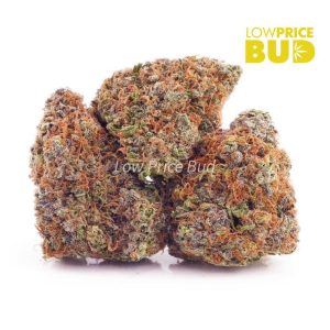 Buy Super Sour Diesel (AA) online Canada