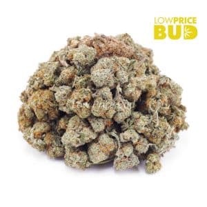 Peanut Butter Kush (AAAA) – Popcorn Nugs Buy Peanut Butter Kush (AAAA) – Popcorn Nugs online Canada