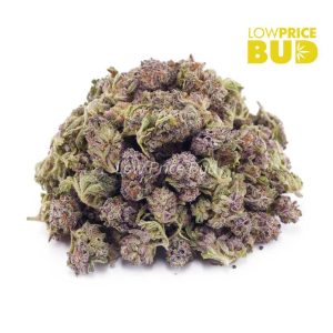 Alaskan Thunder Fuck (AAAA) – Popcorn Nugs Buy Alaskan Thunder Fuck (AAAA) – Popcorn Nugs online Canada
