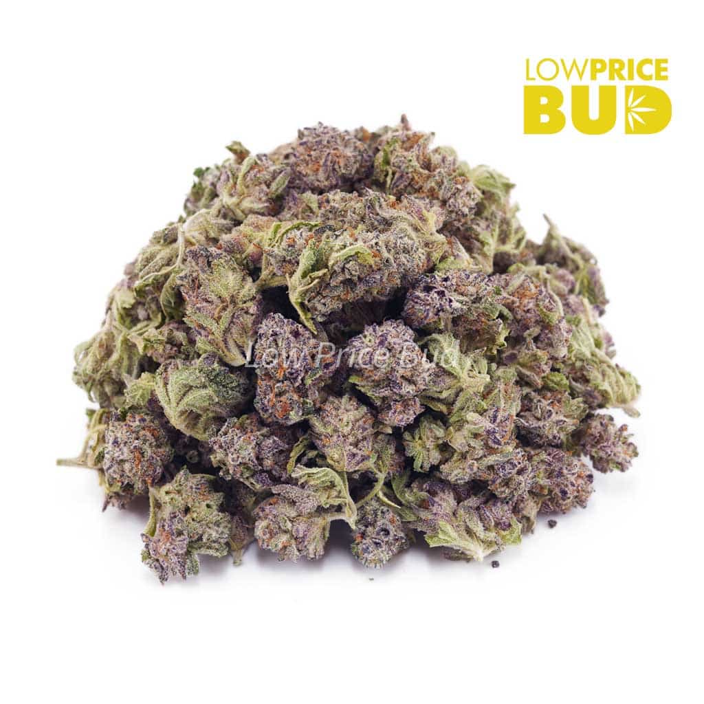 Alaskan Thunder Fuck (AAAA) – Popcorn Nugs Buy Alaskan Thunder Fuck (AAAA) – Popcorn Nugs online Canada