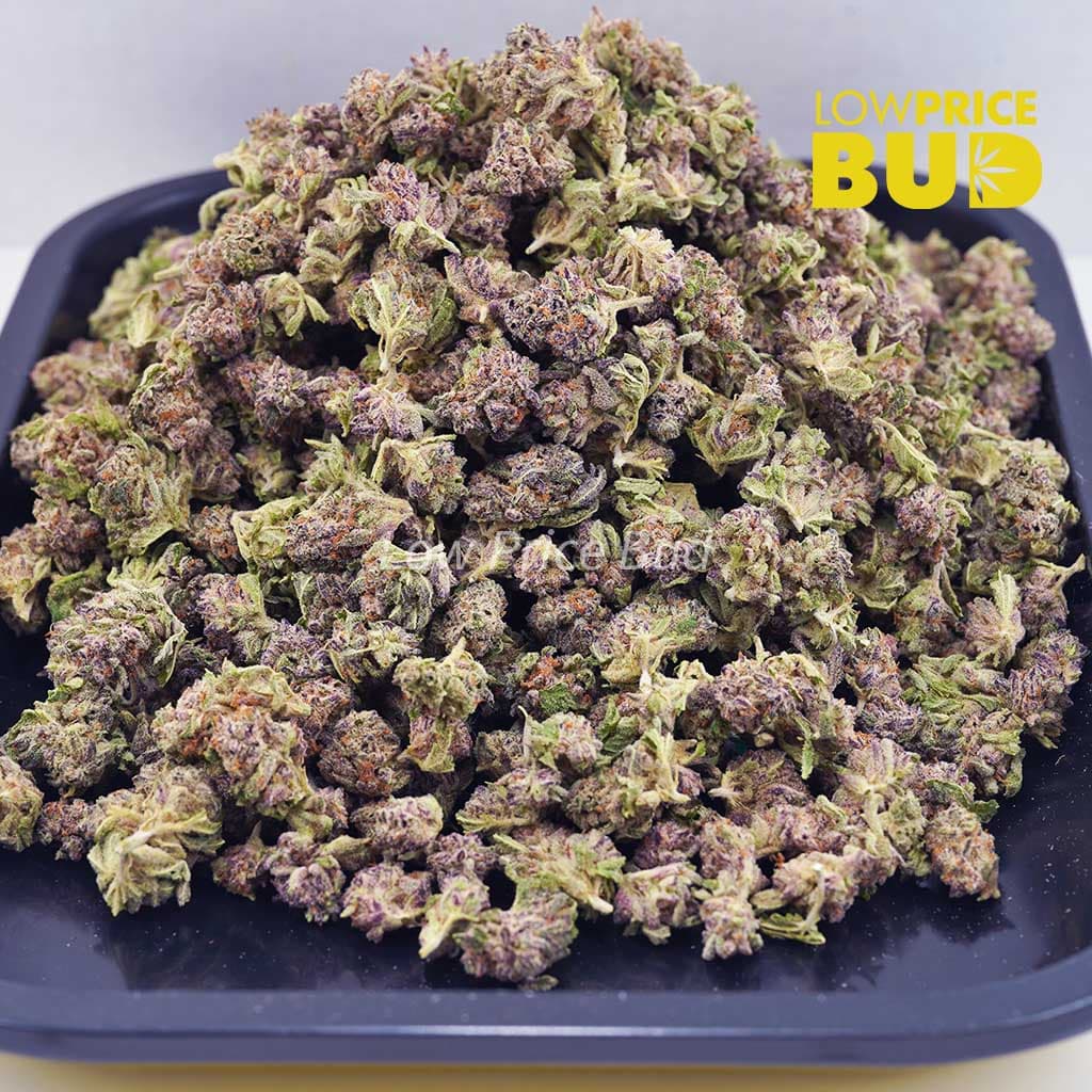 Alaskan Thunder Fuck (AAAA) – Popcorn Nugs Buy Alaskan Thunder Fuck (AAAA) – Popcorn Nugs online Canada