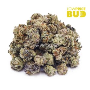Buy Platinum Dosi Cake (AAAA) – Popcorn Nugs online Canada
