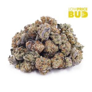 Buy Gorilla Goo (AAAA) – Popcorn Nugs online Canada