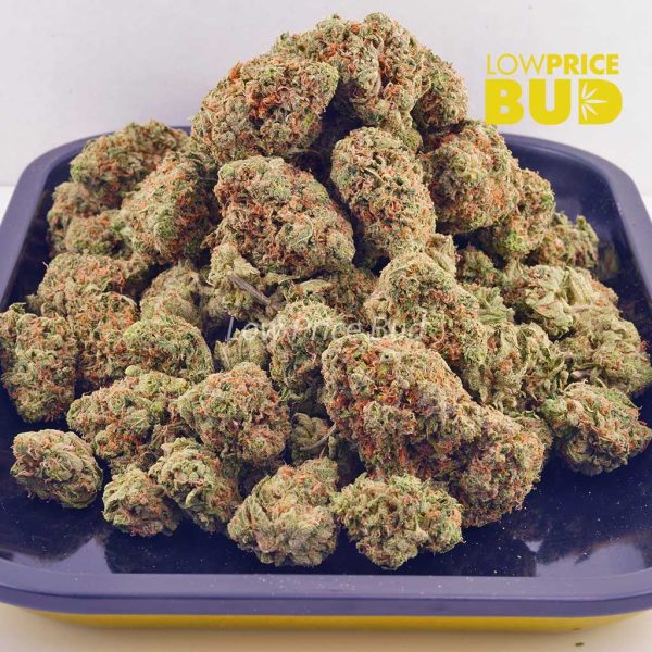 Buy Strawberry Cough (AAAA) online Canada