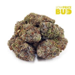 Buy Pink Guava (AAA) online Canada