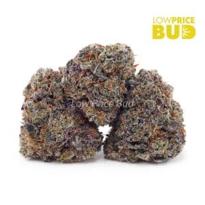Buy Peanut Butter Breath (AAAA) online Canada