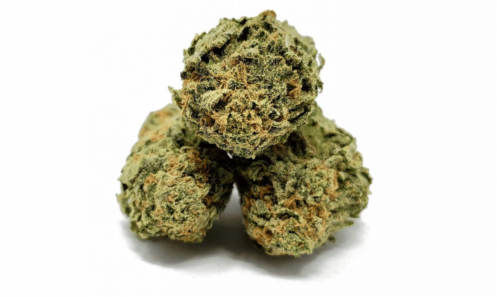 The White Fire is a cannabis OG like no other. Here's everything you need to know about the Fire og strain and why you should try it next.Â