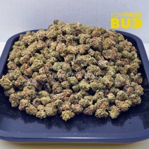 Buy Space Cookies (AAAA) – Popcorn Nugs online Canada