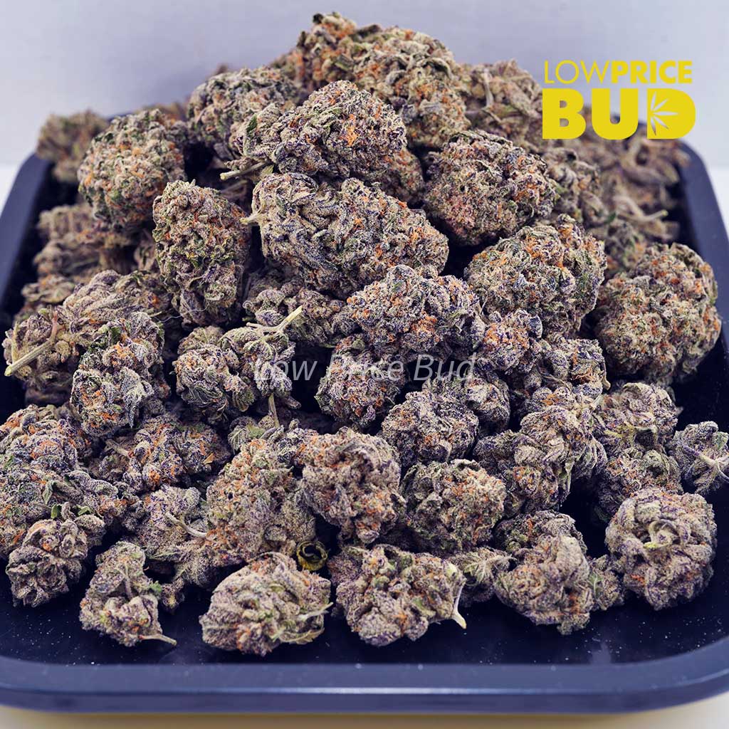 Grape Runtz (AA) Buy Grape Runtz (AA) online Canada