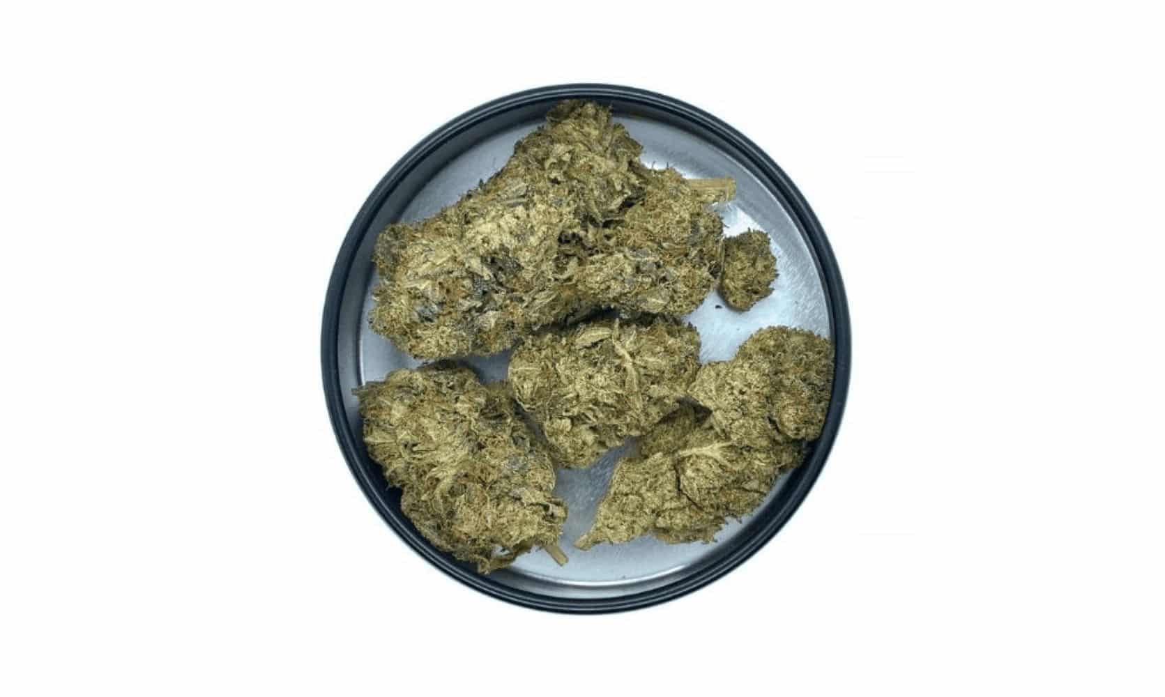 Grease Monkey weed is a diesel Indica with sedative powers. It’s a balanced bud you can only find at an online dispensary! Read the full scoop!