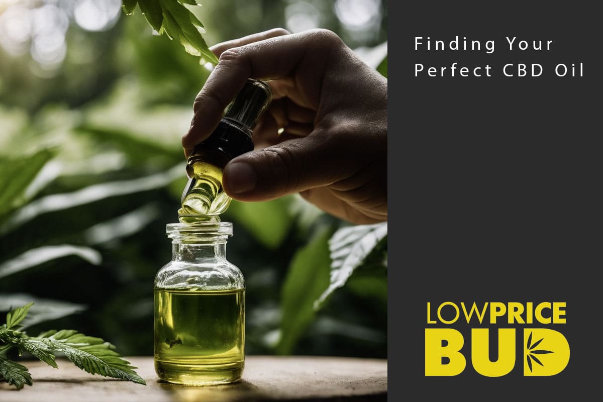 finding cbd oil