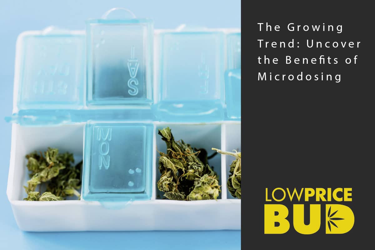 microdosing benefits
