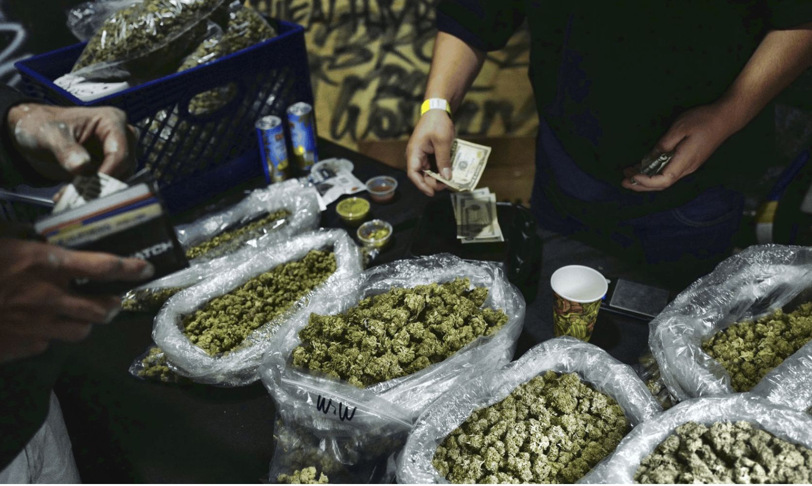 Learn how bulk weed in Canada will transform the way you shop, discover deals online, & how to get high affordably. Read this guide to bulk weed!