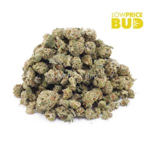 Buy Gassy Gelato (AAAA) – Popcorn Nugs online Canada
