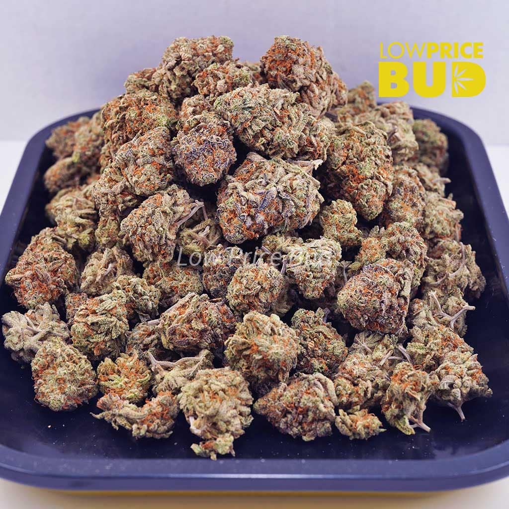 Ice Wreck (AA) Buy Ice Wreck (AA) online Canada