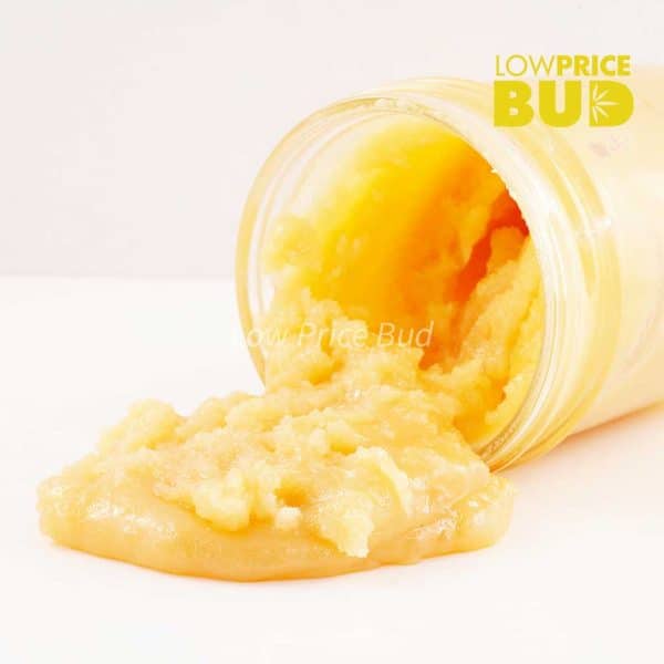 Buy Live Resin – Blue Venom online Canada