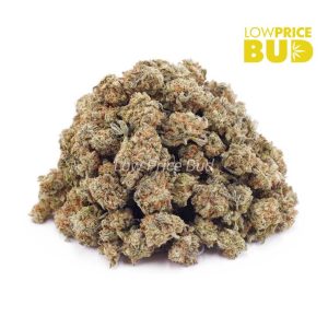Buy Lemon Cookies (AAAA) – Popcorn Nugs online Canada