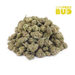 Grease Monkey (AAAA) – Popcorn Nugs Buy Grease Monkey (AAAA) – Popcorn Nugs online Canada