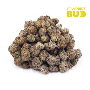 Buy Platinum Blackberry (AAAA) – Popcorn Nugs online Canada