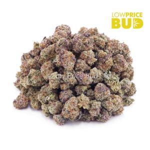 Buy Gelato #33 (AAAA) – Popcorn Nugs online Canada